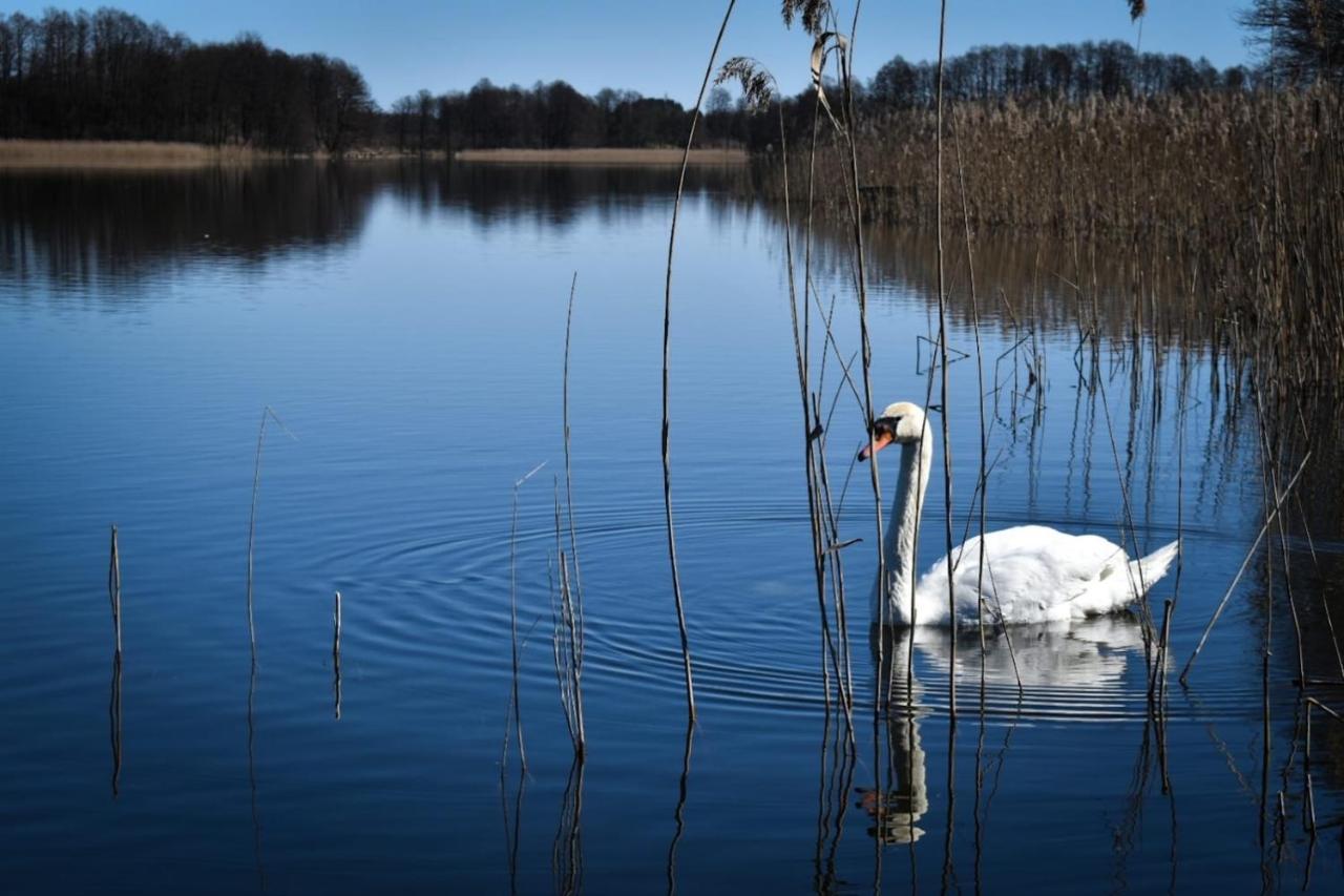 Pokoje Lotnik Nad Jeziorem Мронгово Екстер'єр фото